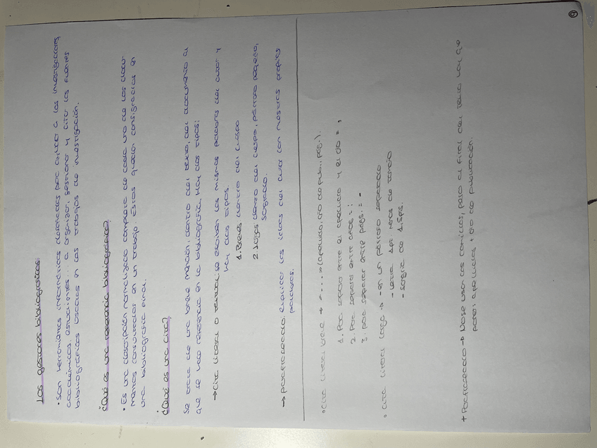 Miniatura del documento IMG0530.jpeg