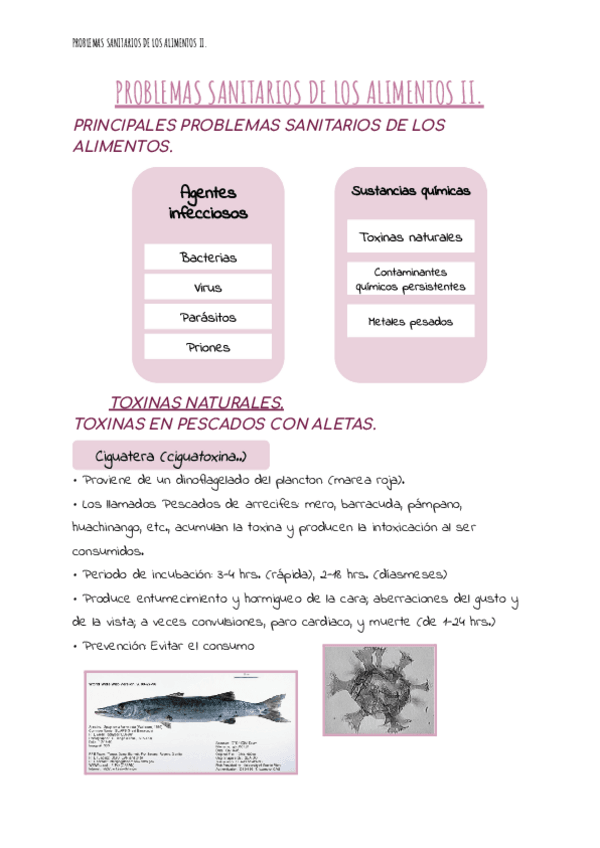 Miniatura del documento 16.PROBLEMAS-SANITARIOS-DE-LOS-ALIMENTOS-II.pdf