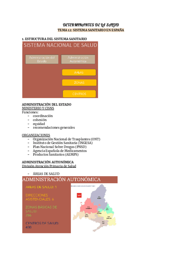 Miniatura del documento DETERMINANTES-DE-LA-SALUD12.pdf