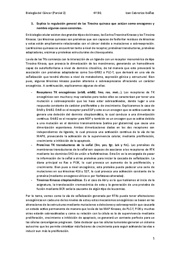 Miniatura del documento PyR2BIOCANCERIzanCabrerizoinacabat.pdf