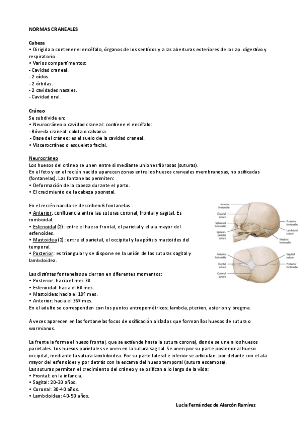 Miniatura del documento Tema-8-anato-I-LuciaF.pdf