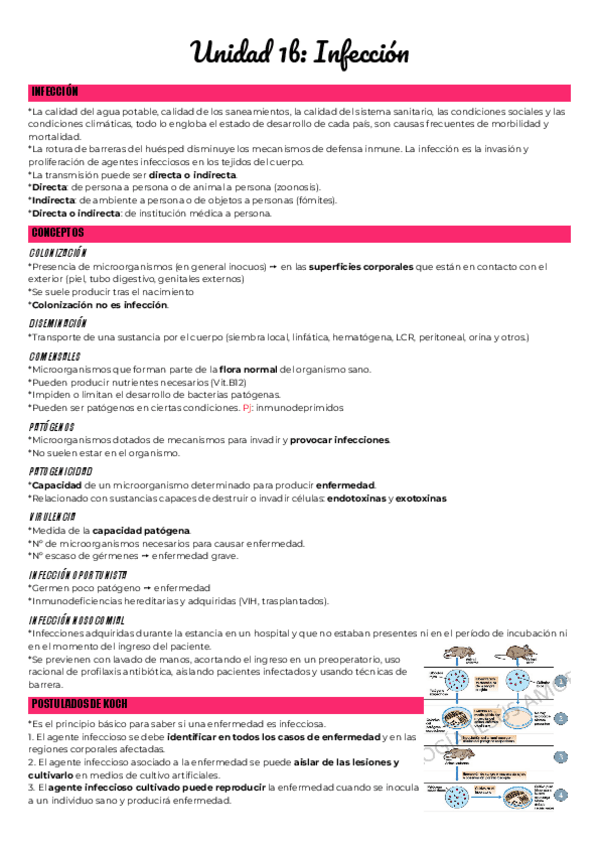 Miniatura del documento Unidad-1b-Infeccion.pdf