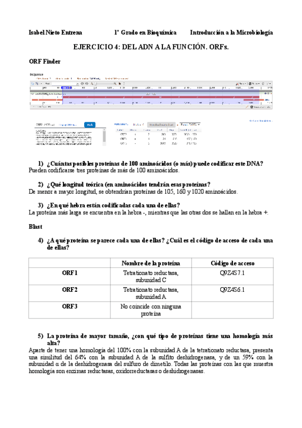 Miniatura del documento EJERCICIO-4-ORFs.pdf