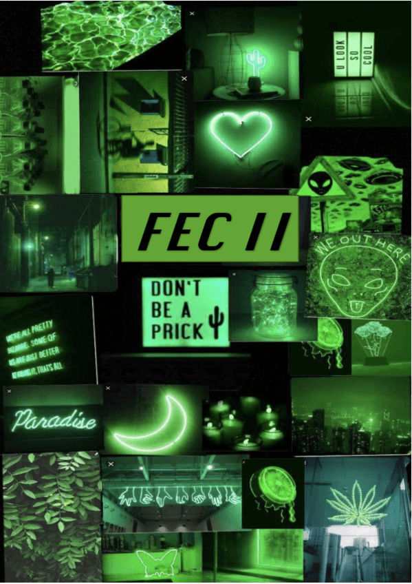 Miniatura del documento FEC-II-definitivo-2024.pdf