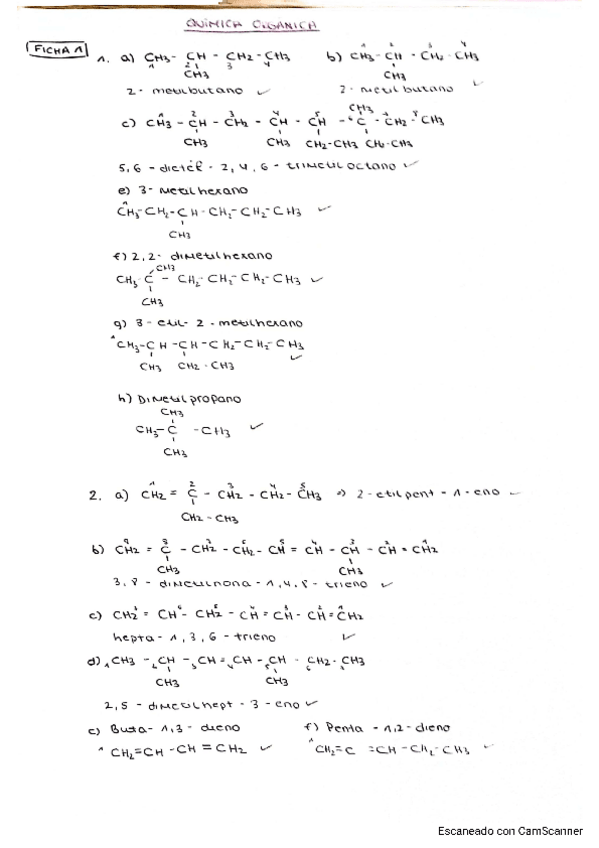 Miniatura del documento QUIMICA-ORGANICA.pdf