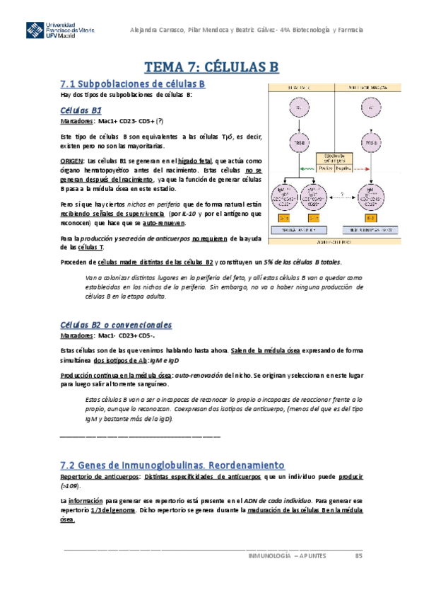 Miniatura del documento Apuntes-INMUNOLOGIA-Tema-7.pdf