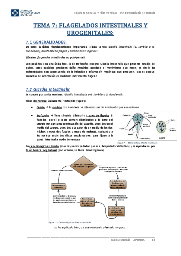 Miniatura del documento Apuntes-PARASITOLOGIA-Tema-7.pdf