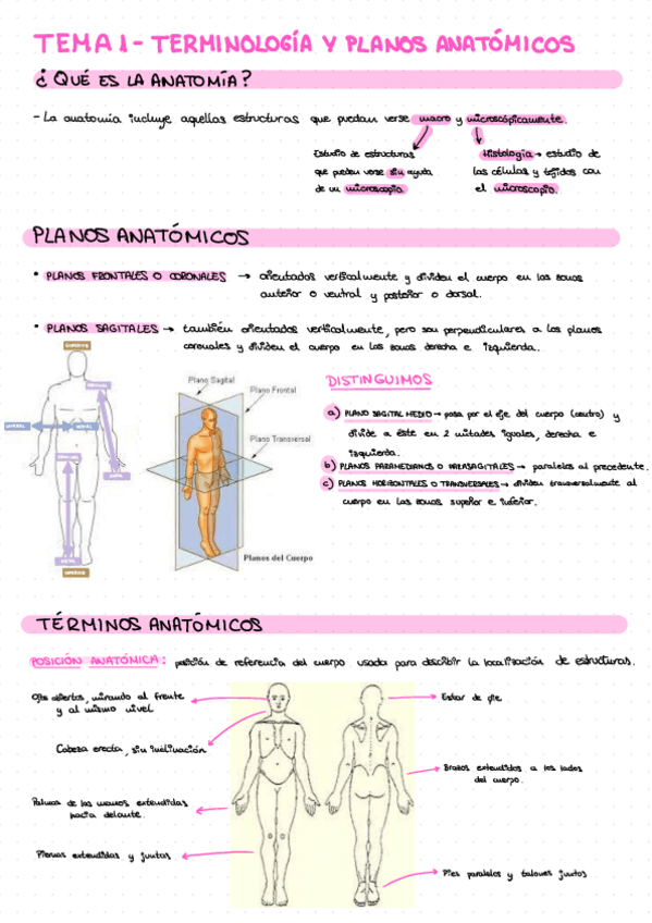 Miniatura del documento AH T.1: Posiciones y términos.pdf