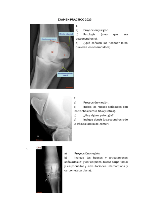 Miniatura del documento EXAMEN-PRACTICO-2024.pdf
