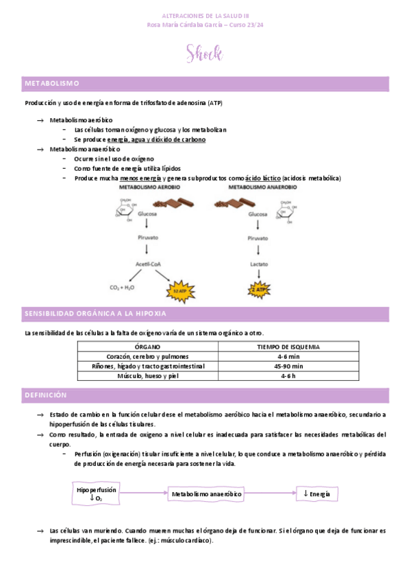 Miniatura del documento 2.-Shock.pdf