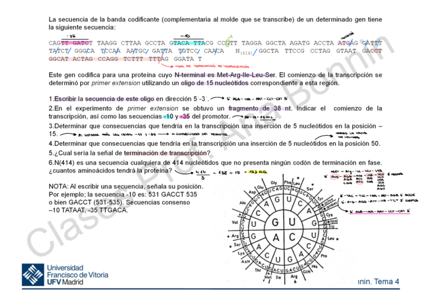 Miniatura del documento Ejercicio Primer Extension.pdf