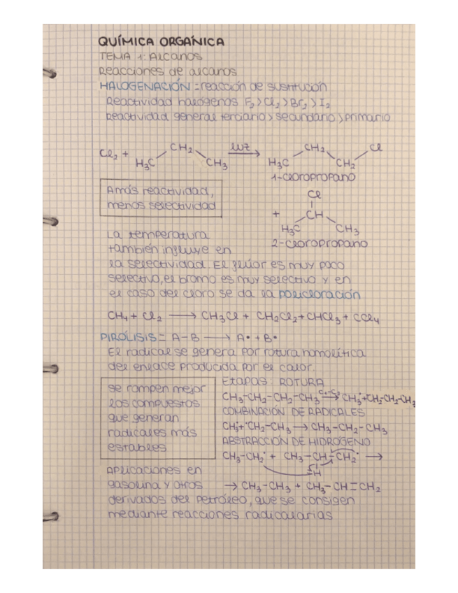 Miniatura del documento Apuntes-de-quimica-organica.pdf