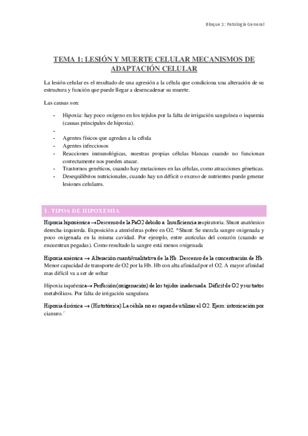 Miniatura del documento apuntes-de-enfermeria-1-7-bloque.pdf
