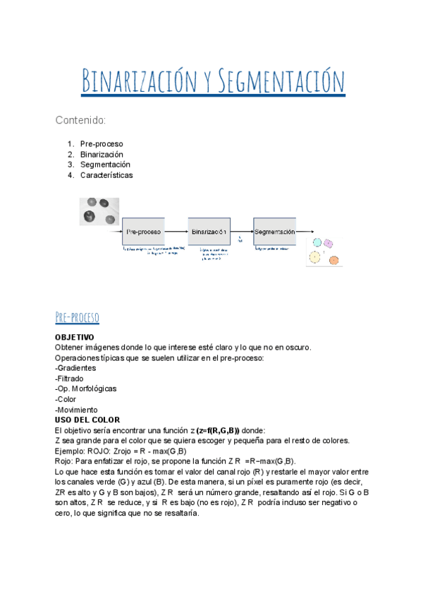 Miniatura del documento Binarizacion-y-Segmentacion-Resumen.pdf