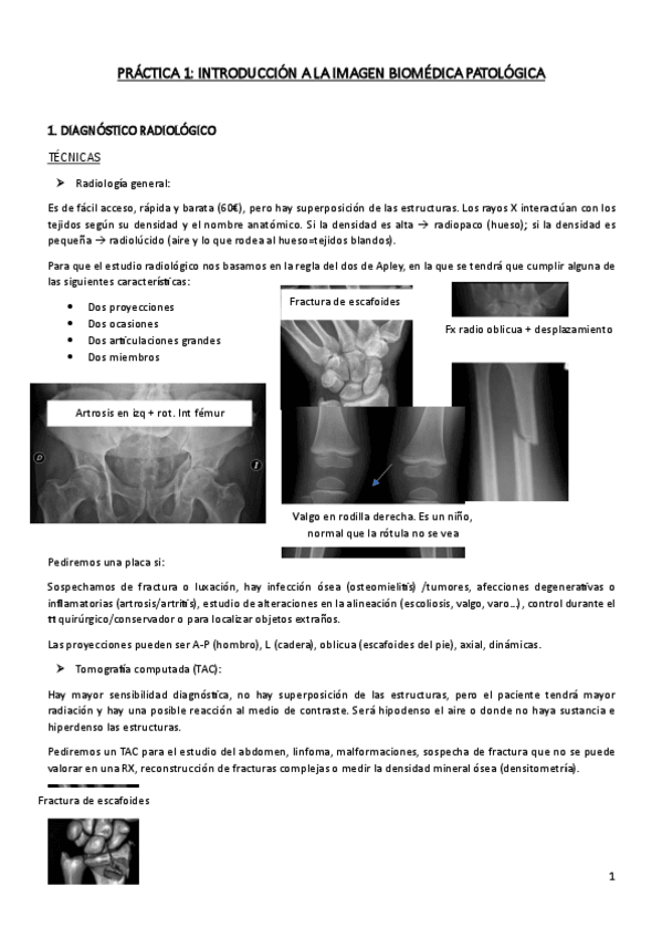 Miniatura del documento PRACTICAS-PAL.pdf