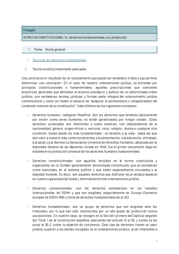 Miniatura del documento Derecho-constitucional-Derechos-Fundamentales-y-su-proteccion.pdf