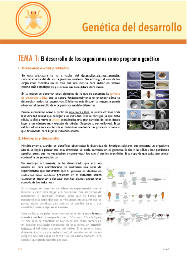 Miniatura del documento TEMA-1.pdf
