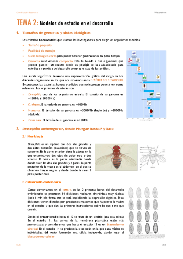 Miniatura del documento TEMA-2.pdf