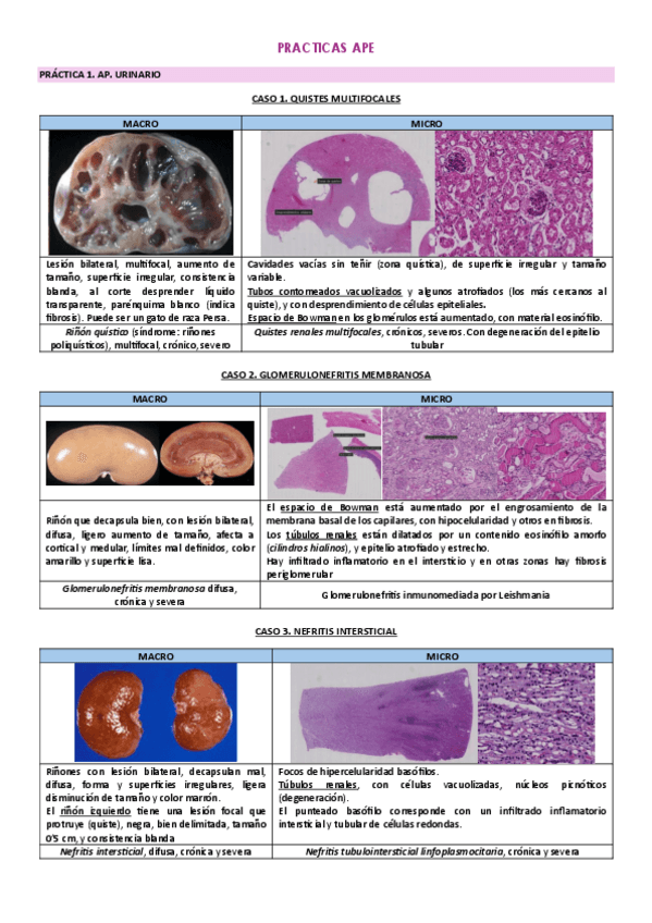 Miniatura del documento PRACTICAS-APE-1.pdf