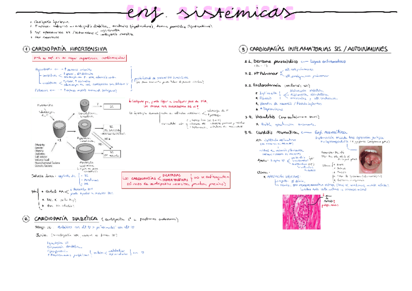 Miniatura del documento Enf.-sistemicas.pdf