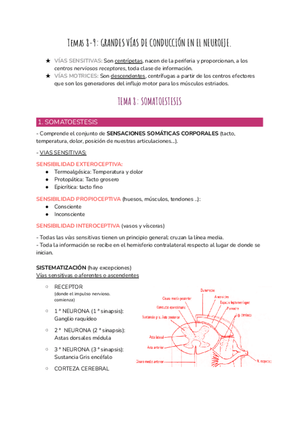 Miniatura del documento Tema 8,9,10.pdf