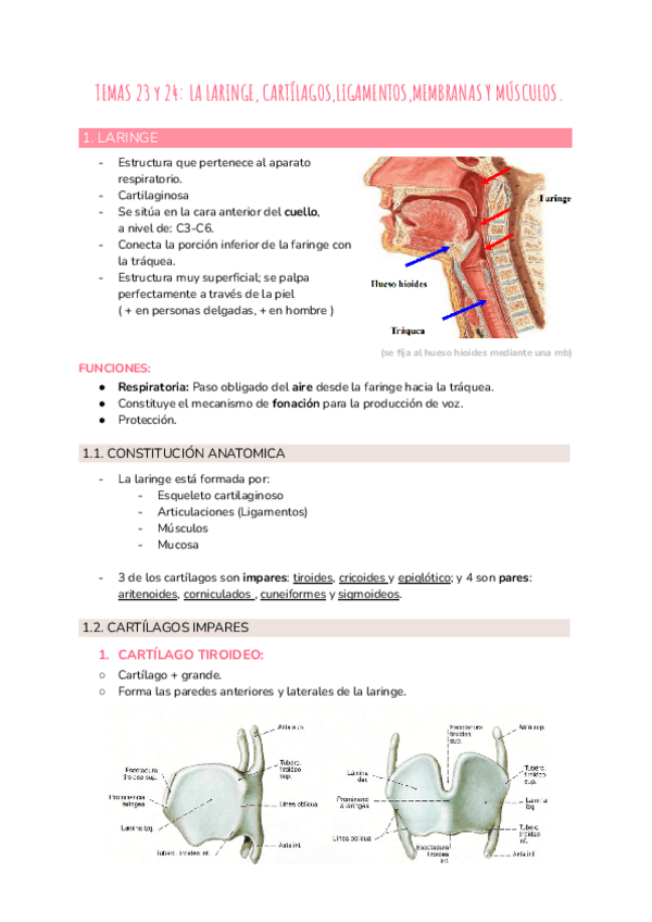 Miniatura del documento TEMAS-23-25.pdf