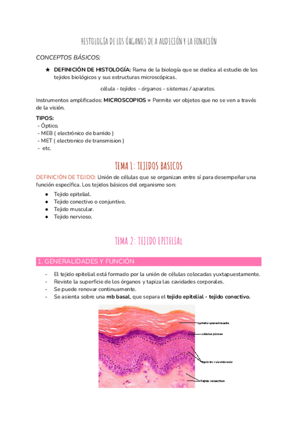 Miniatura del documento HISTOLOGIA-DE-LOS-ORGANOS-DE-A-AUDICION-Y-LA-FONACION.pdf
