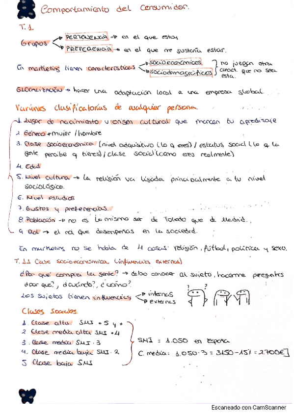 Miniatura del documento apuntes-comportamiento-del-consumidor.pdf