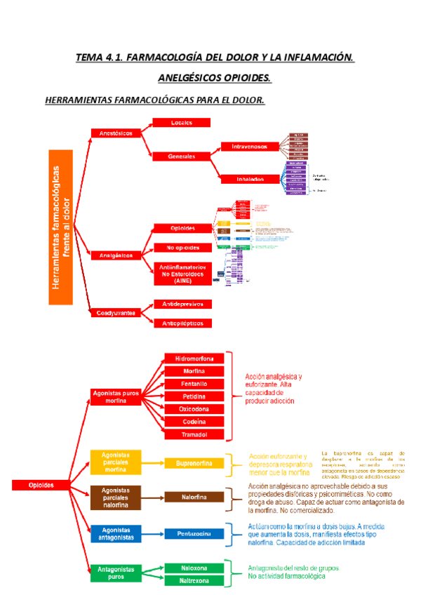 Miniatura del documento TEMA-4.1.-FARMACOLOGIA-DEL-DOLOR-Y-LA-INFLAMACION-ANALGESICOS-OPIOIDES-NO-OPIOIDES-AINES-ANTITERMICOS-23-24.pdf