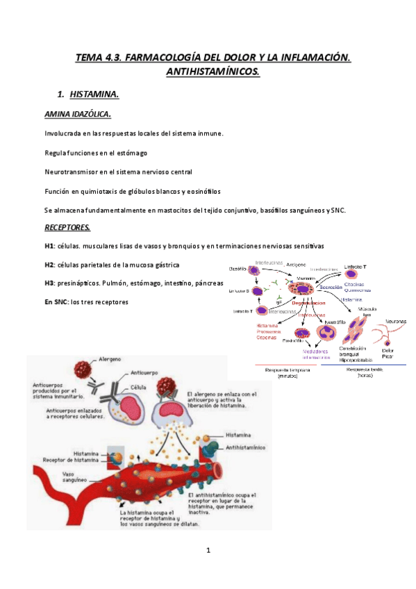 Miniatura del documento TEMA-4.3.-FARMACOLOGIA-DEL-DOLOR-Y-LA-INFLAMACION-ANTIHISTAMINICOS-23-24.pdf