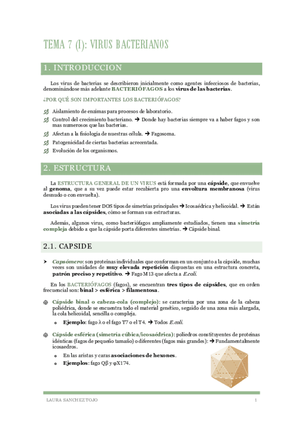Miniatura del documento Tema-7-I-Virus-bacterianos-Bacteriofagos.pdf
