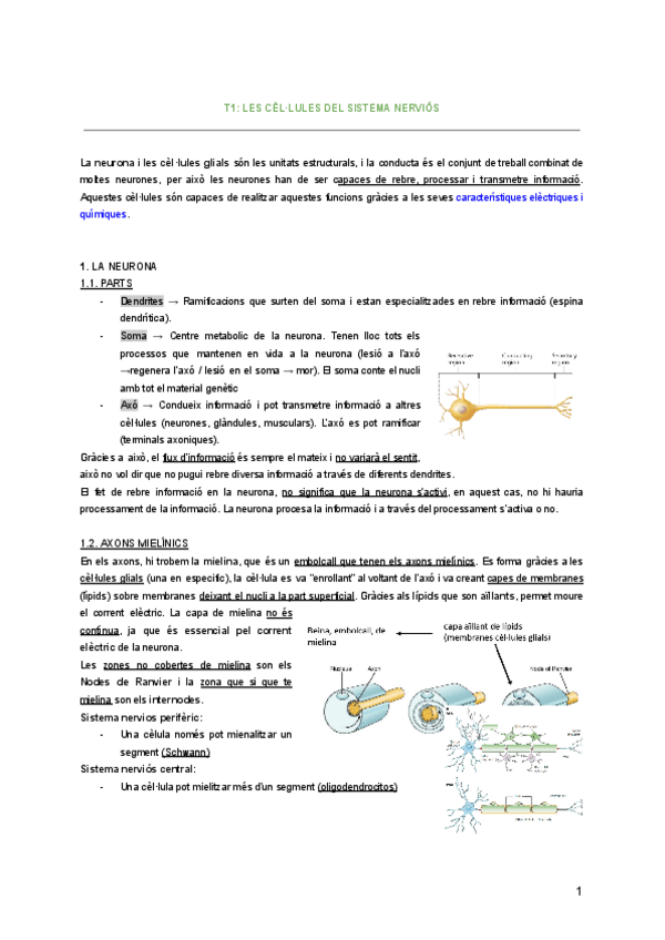 Miniatura del documento T1-T2-T3-T4-nomes-teoria-classe-no-els-videos.pdf