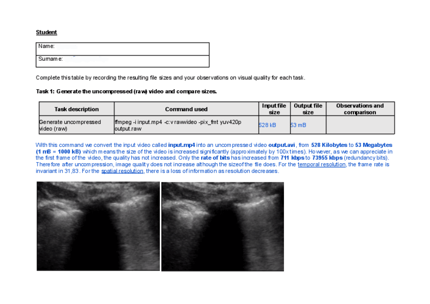 Miniatura del documento P1-Coding.pdf