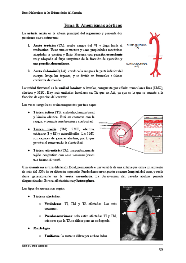 Miniatura del documento TEMA-8-ANEURISMAS-BASES-MOLECULARES-DE-LAS-ENFERMEDADES-DEL-CORAZON.pdf