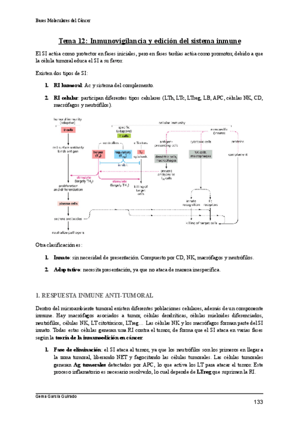 Miniatura del documento TEMA-12-INMUNOVIGILANCIA-BASES-MOLECULARES-DEL-CANCER.pdf