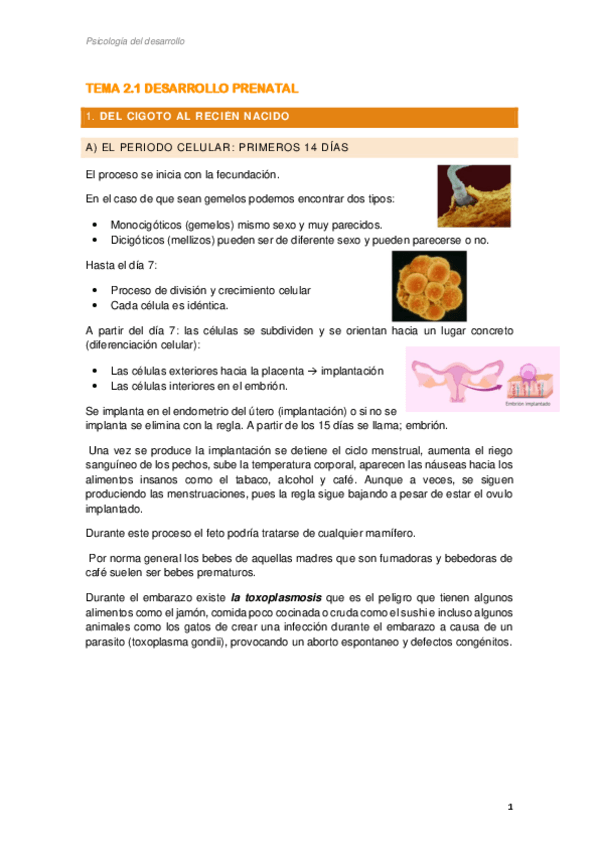 Miniatura del documento TEMA-2.1.pdf