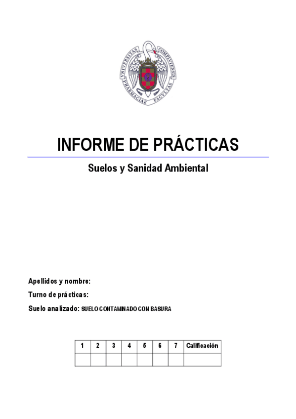 Miniatura del documento INFORME-DE-PRACTICAS-SSA.pdf