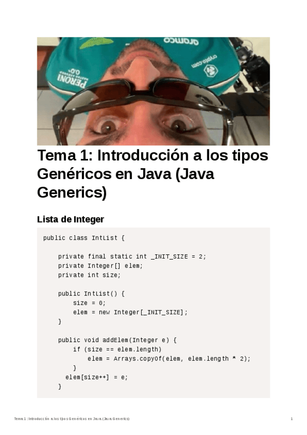 Miniatura del documento Tema-1-Introduccion-a-los-tipos-Genericos-en-Java.pdf