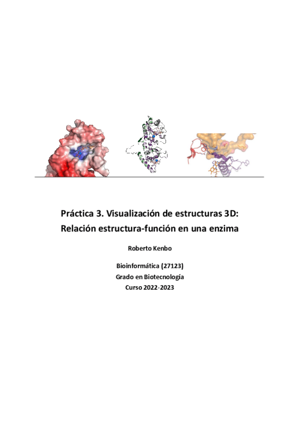 Miniatura del documento Práctica 3.pdf