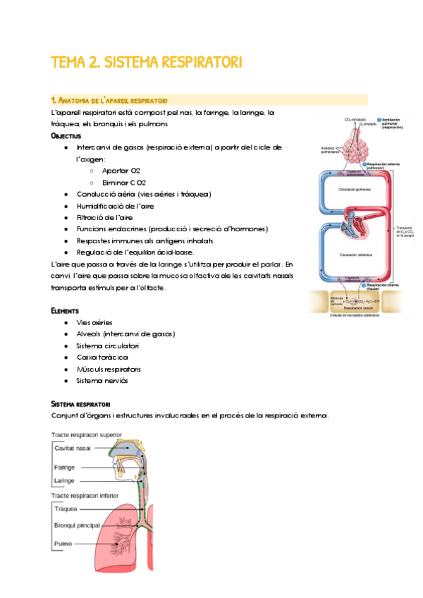 Miniatura del documento TEMA-2.-Sistema-respiratori.pdf