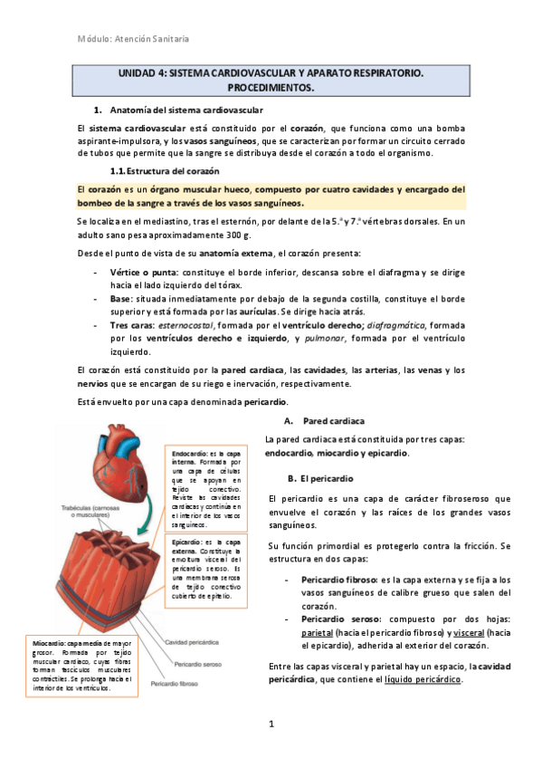 Miniatura del documento U4-Sistema-Cardiovascular-y-Aparato-Respiratorio.pdf