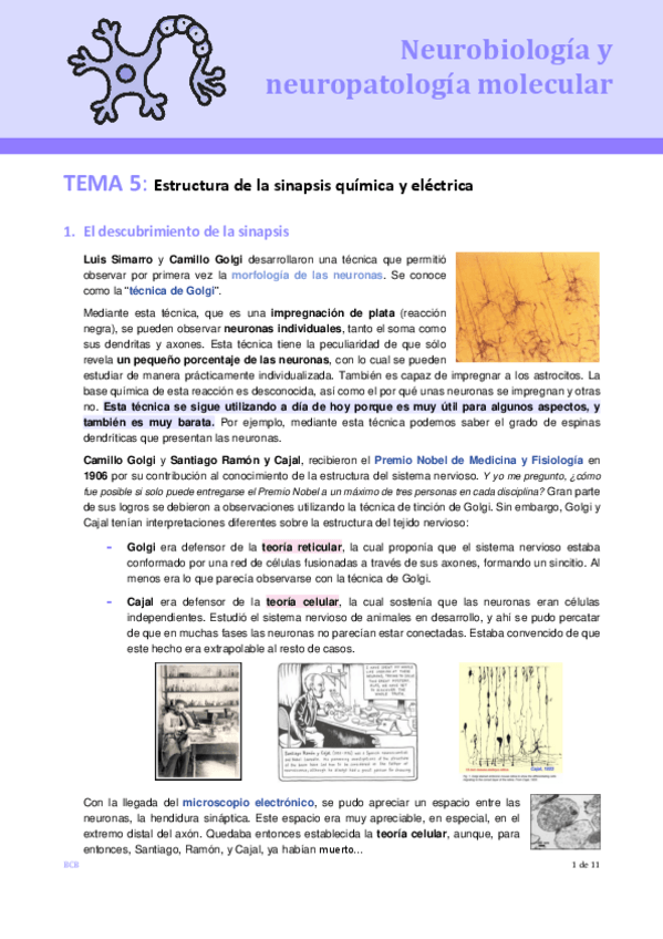 Miniatura del documento T-5-NEURO.pdf