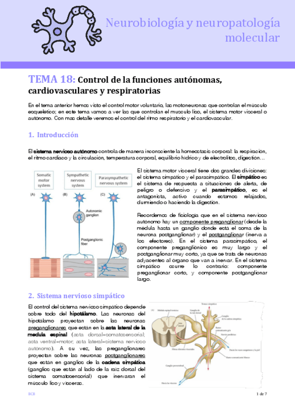 Miniatura del documento T18-NEURO.pdf