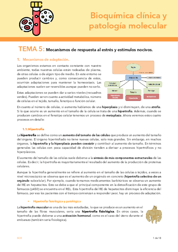 Miniatura del documento T5-bq.pdf