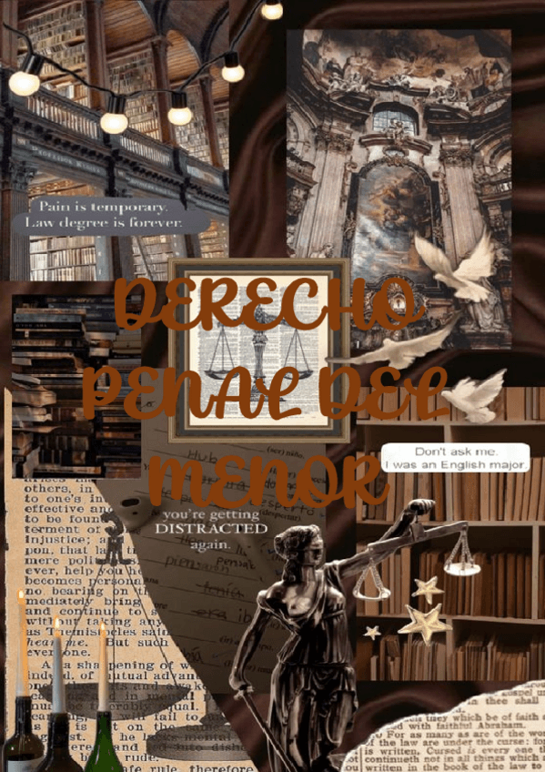 Miniatura del documento modelo-Wraparound.pdf