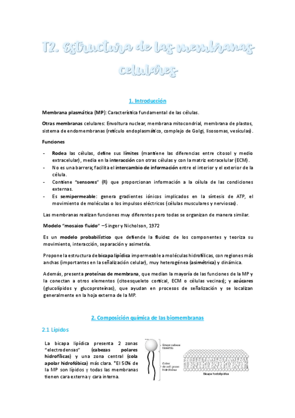 Miniatura del documento T2-Completo.pdf