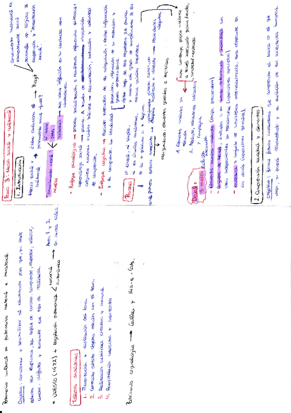 Miniatura del documento 3-Tema-3.pdf