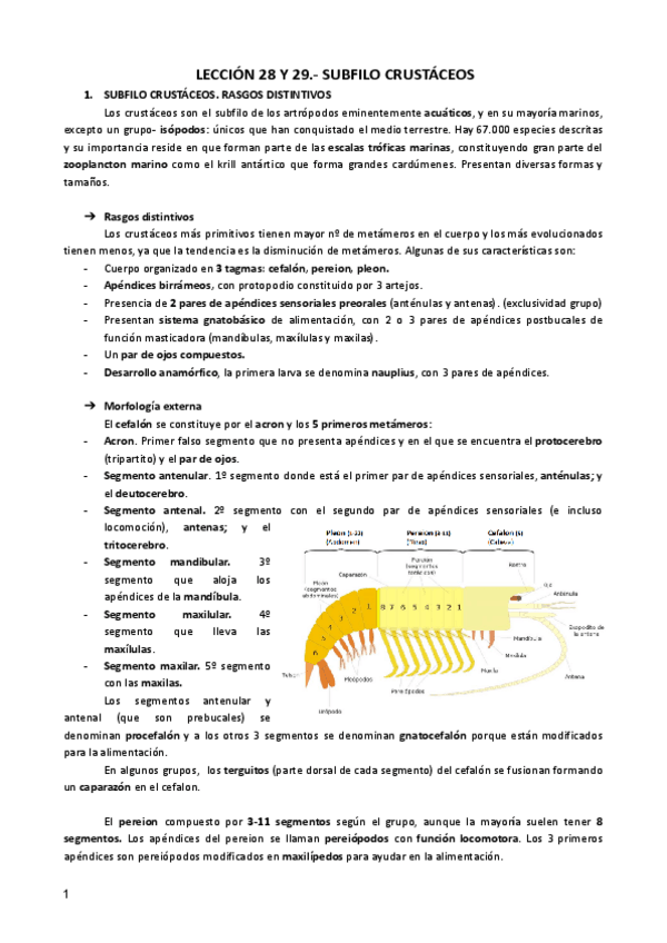 Miniatura del documento LECCION-28-29-ZOO.pdf