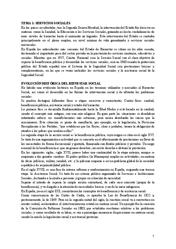 Miniatura del documento SERVICIOS-SOCIALES.pdf