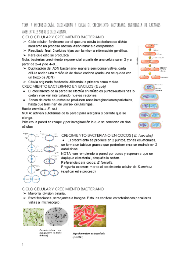 Miniatura del documento TEMA-7-MICROBIOLOGIA.pdf